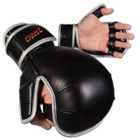 Mma Gloves